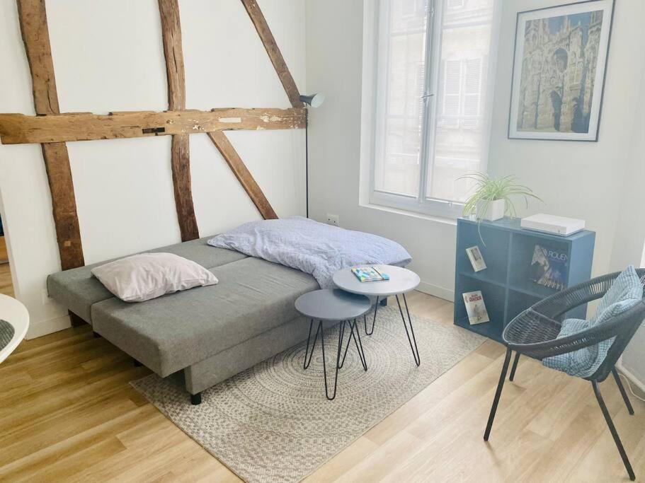 Les Beaux Arts, Appartement Au Coeur De 鲁昂 外观 照片